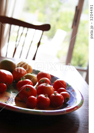 テーブルの上のもぎたてトマト 3204491