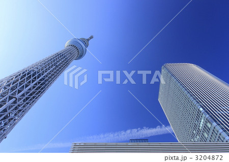 東京スカイツリーが見える風景 東京スカイツリーが見える風景 3204872