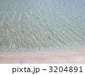波打ち際 3204891