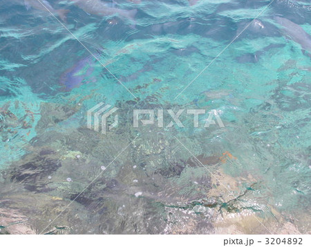 透明感のある海 3204892