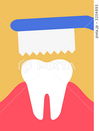 歯磨き 歯磨き 3204893