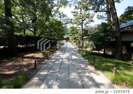 三渓園 横浜 三渓園 横浜 3205079
