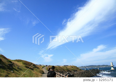 波戸岬 波戸岬 3205171