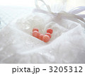 ピンク珊瑚 3205312