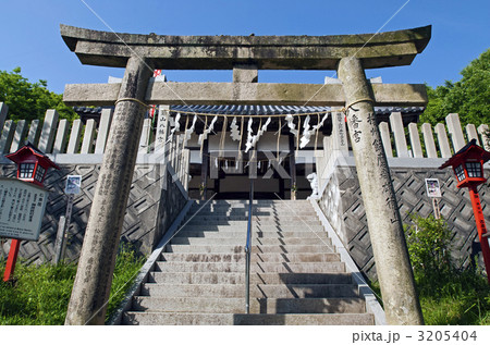 男山八幡宮 3205404