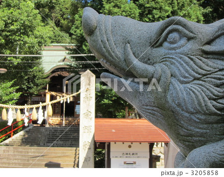 足立山妙見宮 足立山妙見宮 3205858