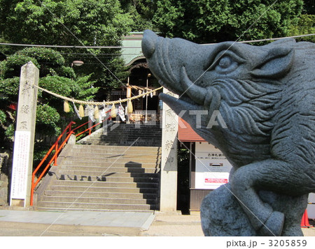 足立山妙見宮 3205859