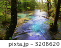 上高地の清流 3206620
