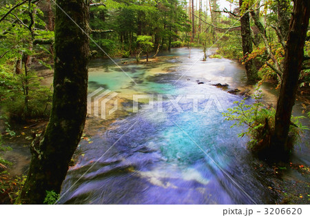 上高地の清流 上高地の清流 3206620