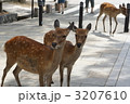 ん？ナニナニ？？ 3207610