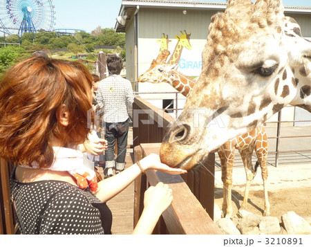 ふれあい 3210891