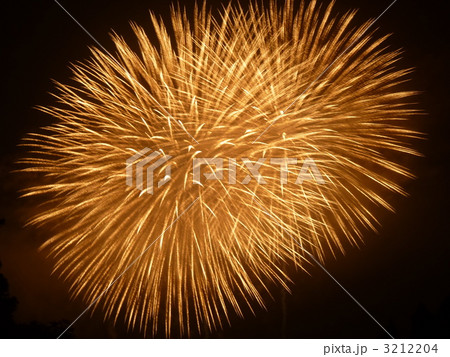 片貝の花火 片貝の花火 3212204