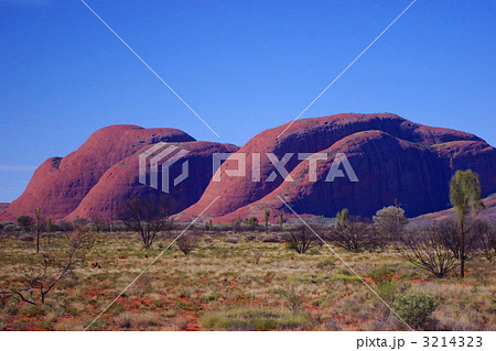 カタ・ジュタ/Uluru-Kata Tjuta National Park 3214323