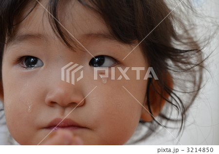 涙の後… 3214850