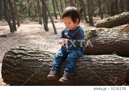 林の中で 3216138