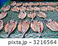 さかなのひもの 3216564
