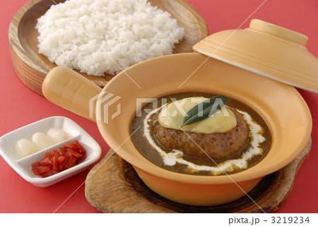 チーズハンバーグカレー 3219234