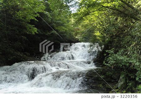 魚止の滝 魚止の滝 3220356