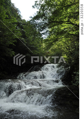 魚止の滝 魚止の滝 3220358