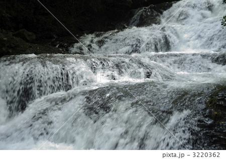 魚止の滝 魚止の滝 3220362