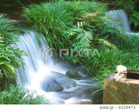 池山水源 池山水源 3220473