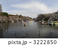 井の頭七井池 3222850