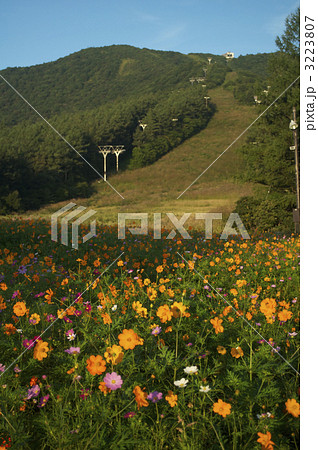 安達太良山 3223807