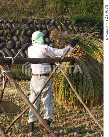 はさがけ はさがけ 3224078