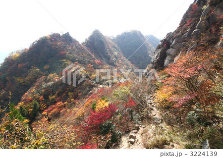鎌ヶ岳の紅葉 鎌ヶ岳の紅葉 3224139