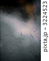 メダカ 3224523