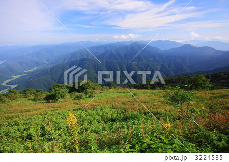 伊吹山草原 3224535