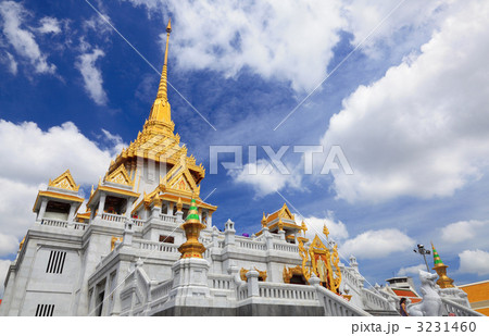 ワット・トライミット 3231460