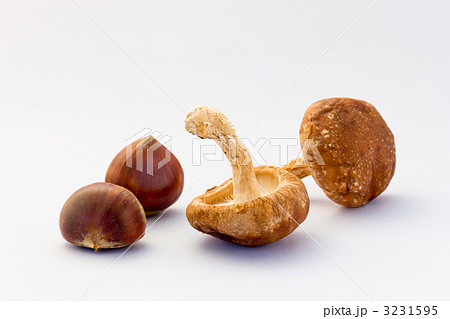 栗とシイタケ 3231595