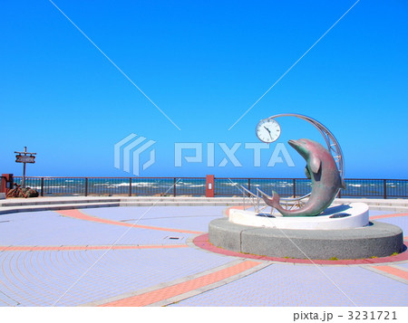 ノシャップ岬 3231721