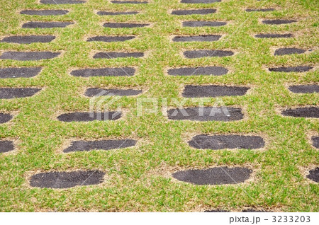 史跡公園の礎石 3233203