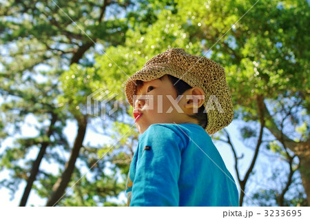 新緑と子供 新緑と子供 3233695