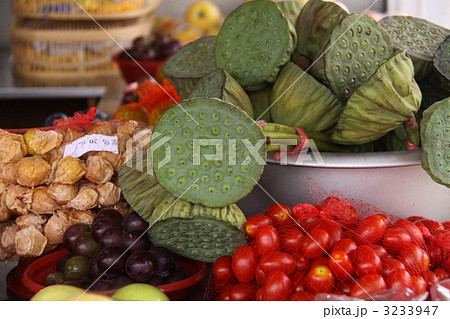 ハスの実 3233947