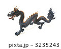 竜 龍 ドラゴン チャイニーズドラゴン リアルドラゴン 真横 横から 干支 年賀 3235243