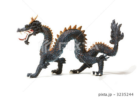 竜 龍 ドラゴン チャイニーズドラゴン リアルドラゴン 真横 横から 干支 年賀の写真素材