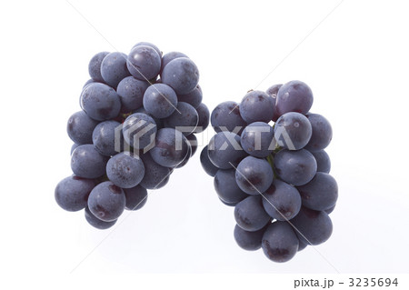 ピオーネ 3235694