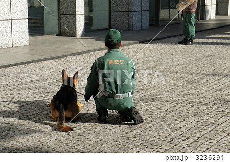 警察犬 警察犬 3236294