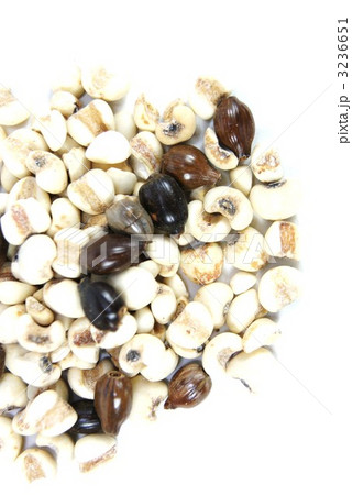 健康茶素材ハトムギとジュズダマ・アップ縦位置 3236651