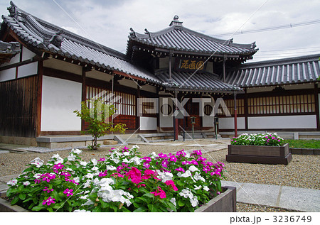 大念仏寺　円通殿（大阪市平野区） 3236749