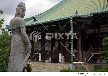 大念仏寺　本堂と観音菩薩 3236754