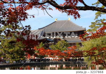 紅葉と東大寺 3237868