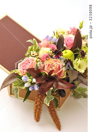 Autumn Memory Autumn Memory 3238098