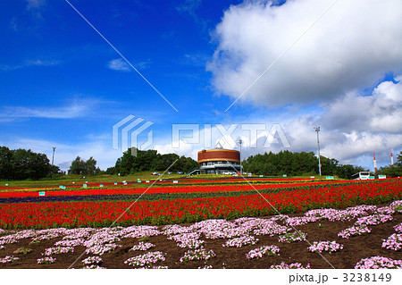 網走市　はなてんと 3238149