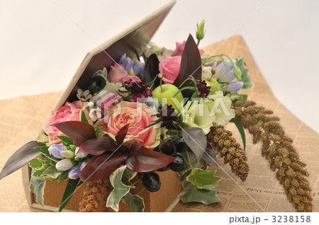 Autumn Memory Autumn Memory 3238158