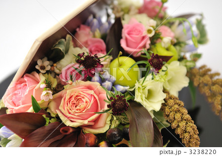 Autumn Memory Autumn Memory 3238220