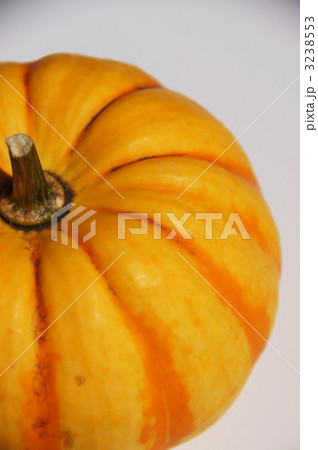 カボチャ（黄皮栗カボチャ） 3238553
